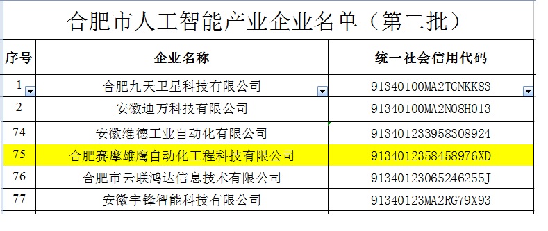 开云kaiyun雄鹰被收入“合肥市人工智能企业”名录